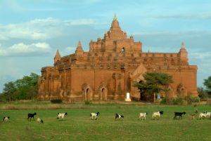 Bagan-09