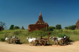 Bagan-22