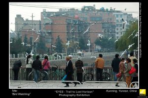 Kunming_13