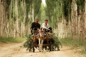 South-Xinjiang-18