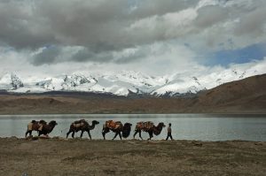 South-Xinjiang-22